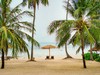 The Beach Resort #2